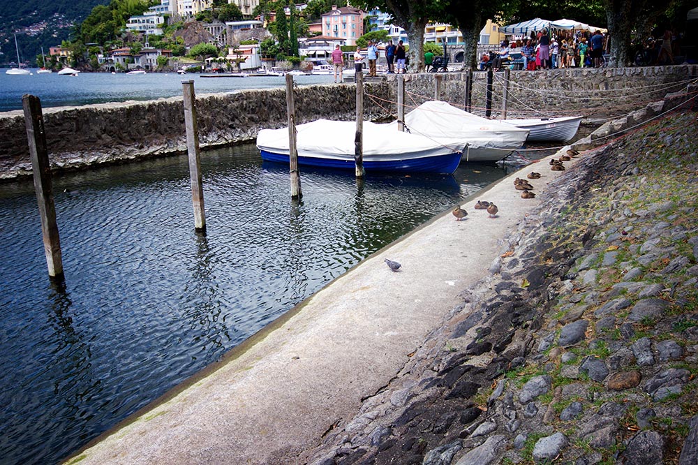 Strandpromenade Ascona mit Enten